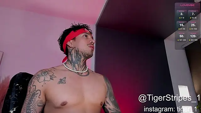 TigerStripes1  online show from January 16, 2025, 1:48 am