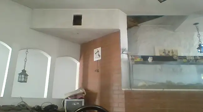 Snapshot of Stevenson988 chatting on February 6, 2025, 7:07 pm Stevenson988 online show from February 6, 2025, 7:07 pm