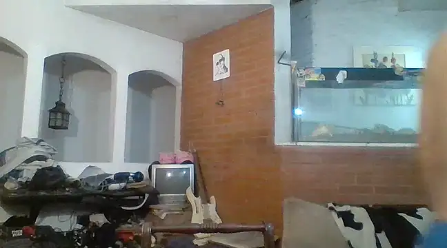 Snapshot of Stevenson988 chatting on February 15, 2025, 12:26 am Stevenson988 online show from February 15, 2025, 12:26 am