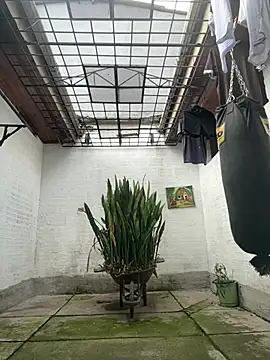 oliver price1 online show from February 17, 2026, 2:58 pm