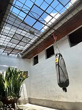 oliver price1 online show from September 9, 2025, 4:05 pm