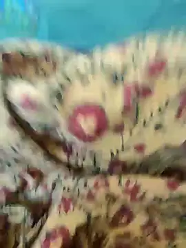 Snapshot of Kolkata___Boy chatting on February 18, 2025, 8:27 am Kolkata   Boy online show from February 18, 2025, 8:27 am